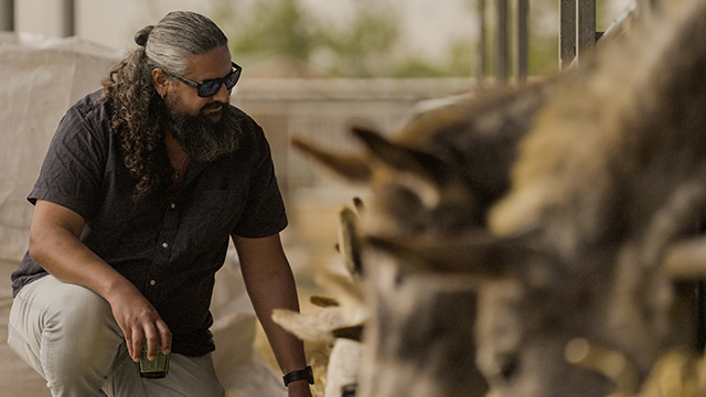 Check for October Shadows: An Exploration of Trauma and Healing After October 7 airing on a public television station near you!